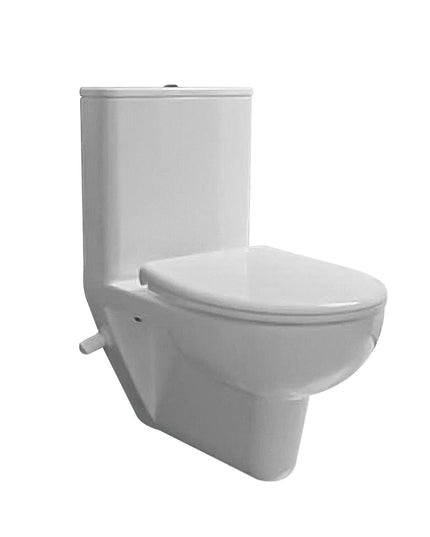 كمبنيشن روزيتا معلق بالخزان كومبي من سانيبيور بالشاسية