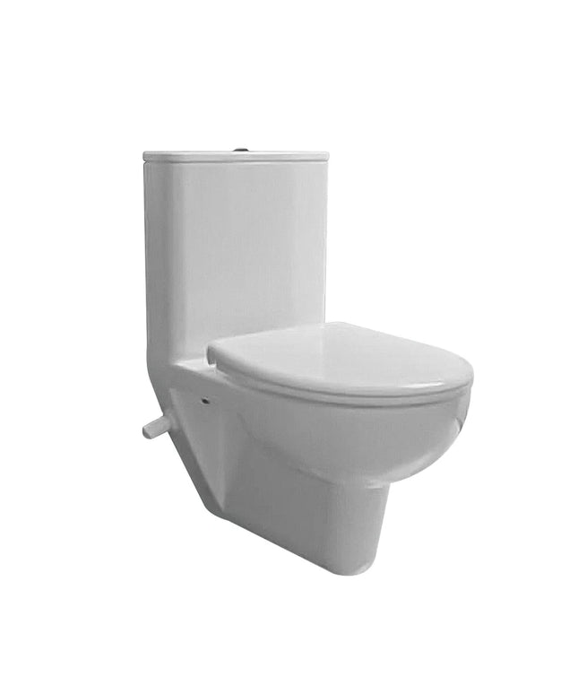 كمبنيشن روزيتا معلق بالخزان كومبي من سانيبيور بالشاسية